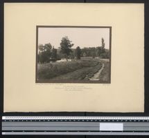 Fotografie Dürrmenz-Mühlacker, Uferpar