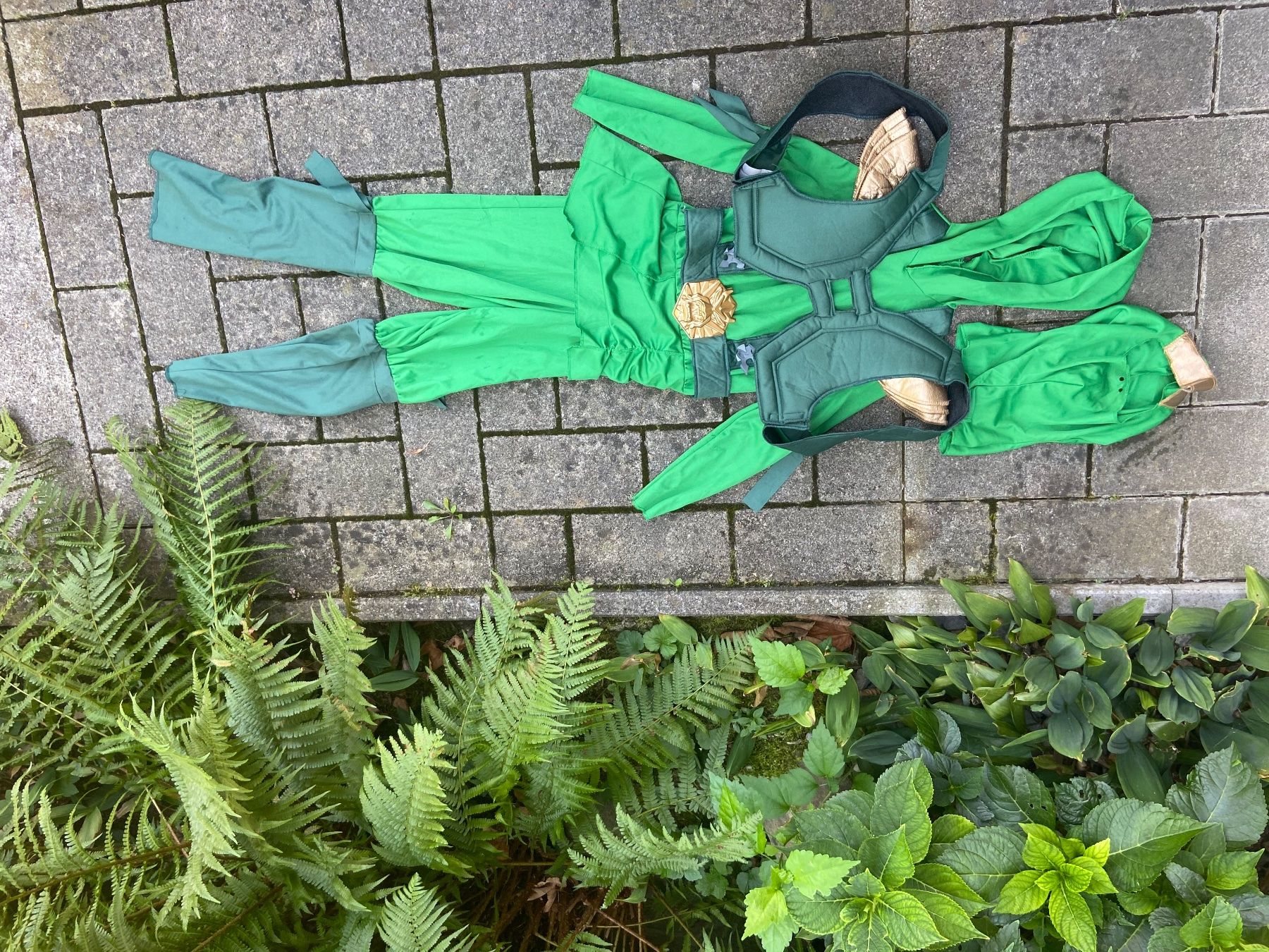 Costumi: Ninjago Kostüm grün – Usato da Uetikon am See venduto da sarentio