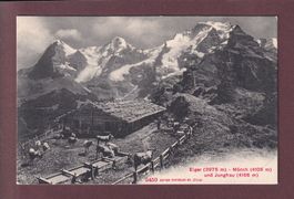 EIGER - MÖNCH - JUNGFRAU - Kühe