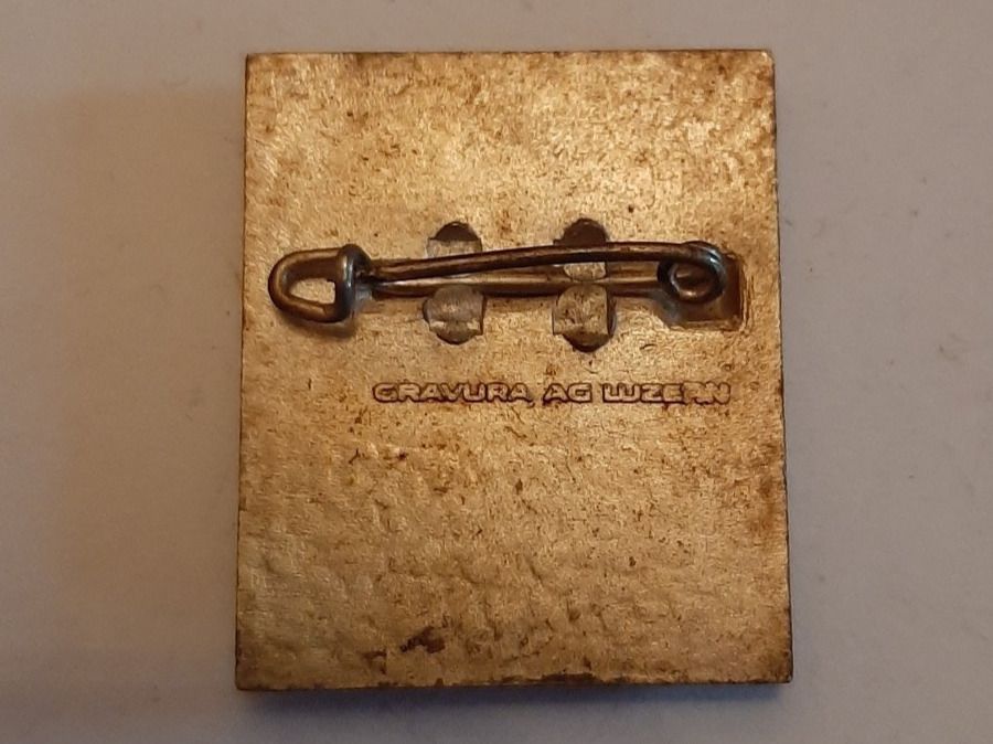 Placchette & Badge: 1976 Allschwil Plakette – Usato da Waltenschwil venduto da moonshadowfreak 1