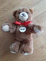 Steiff Molly Teddybär in Topzustand!