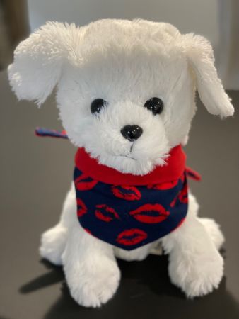 Halstuch Bandana kleiner Hund
