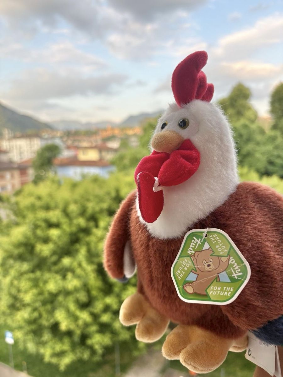 Trudi Jouets: Trudi Peluche Gallo – Neuf (Voir description) à Chiasso par spe_95dn 4