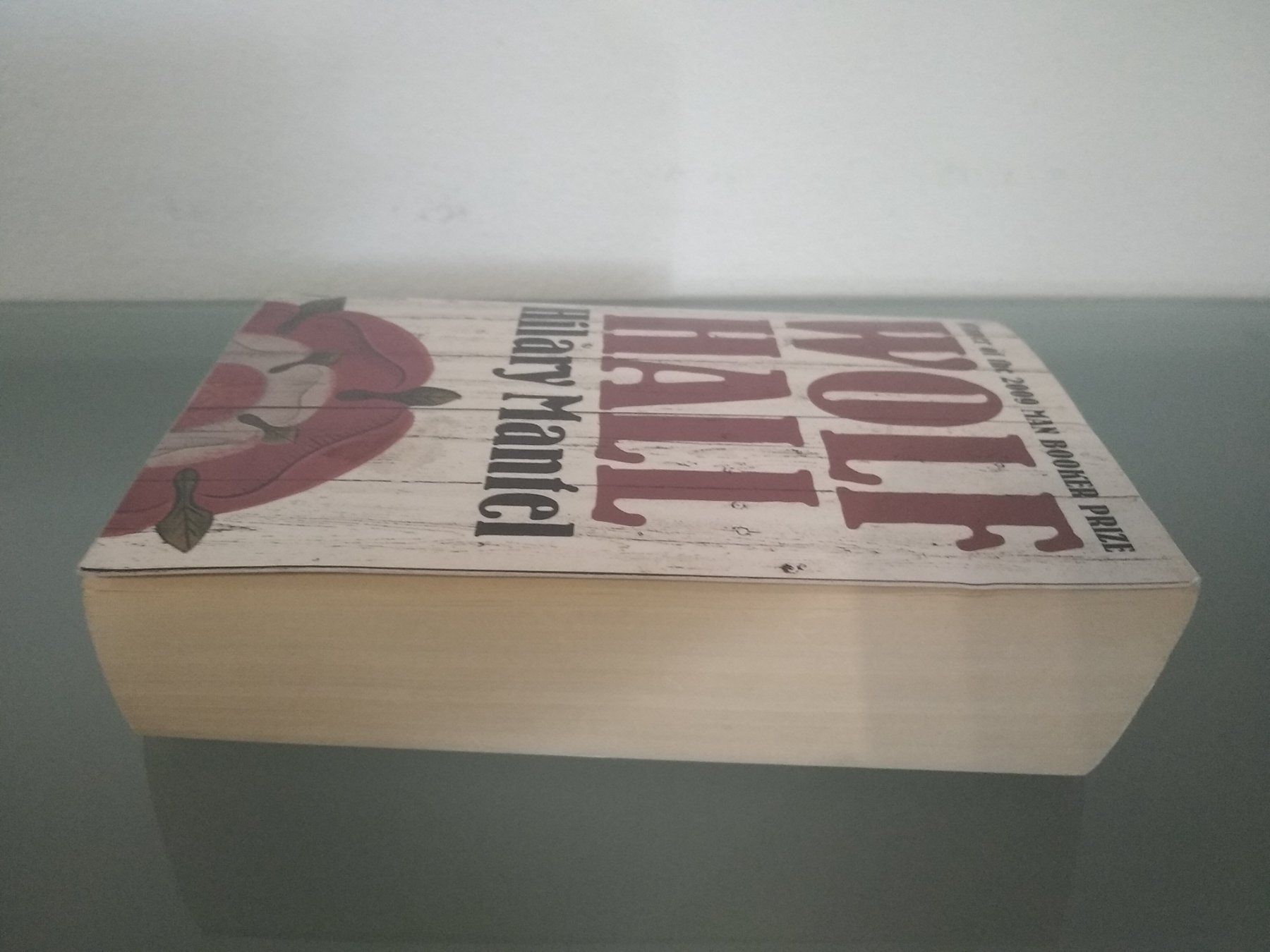 Libri: Wolf Hall Hilary Mantel – Nuovo (secondo la descrizione) da Bäch SZ venduto da Swissy46 4