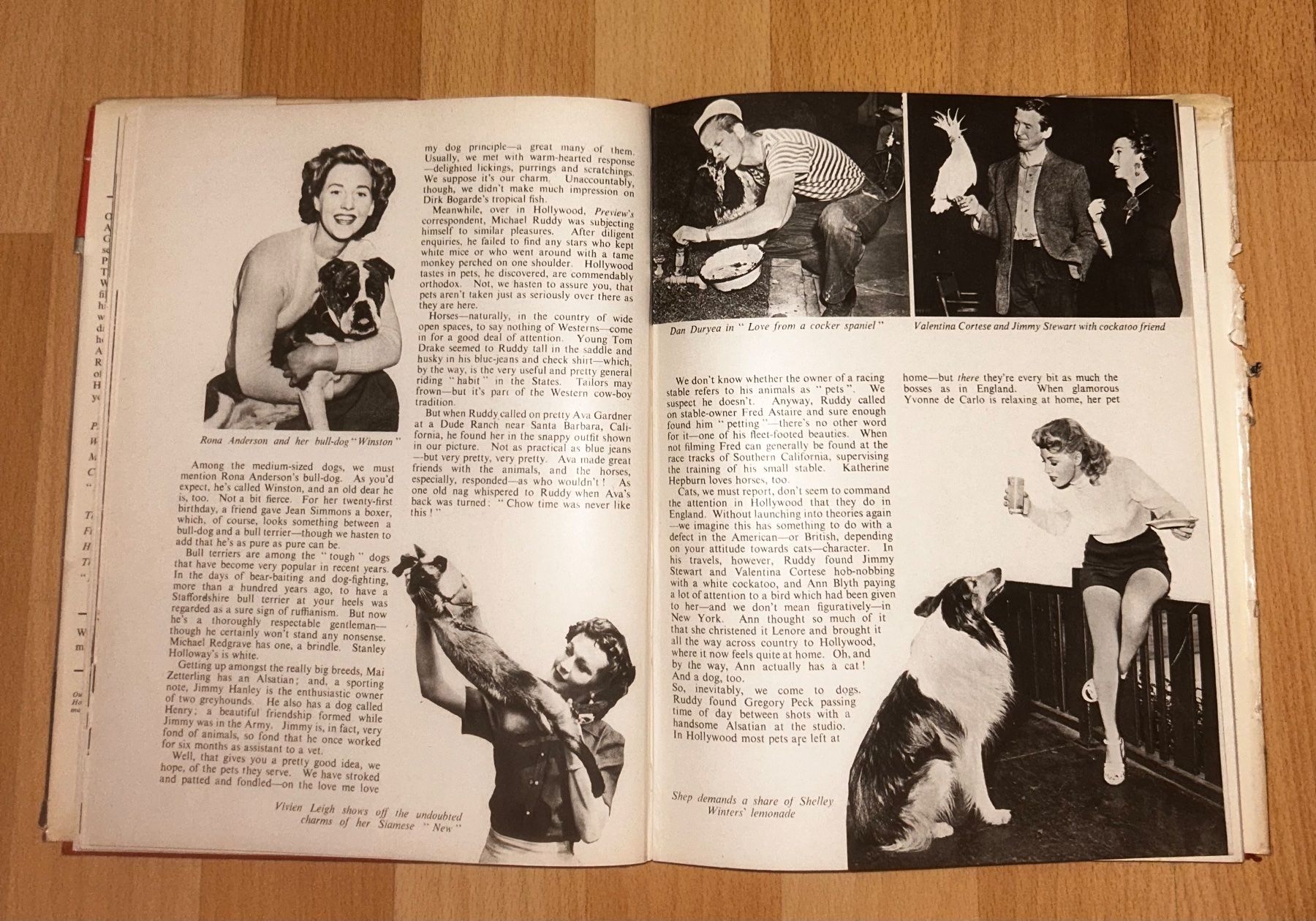 Libri: Preview, Buch mit 50s Schauspieler – Usato da Egg b. Zürich venduto da Luckybilly 2