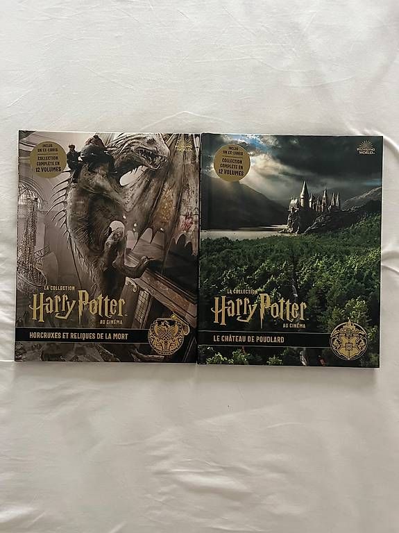 Bücher: Lot de deux livres Harry Potter  – Gebraucht aus Chavannes-des-Bois von dvergani