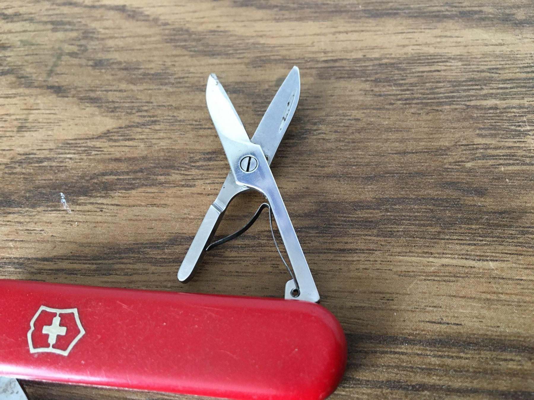 Victorinox Coltelli tascabile: VICTORINOX - VICTORIA - Classic - Sackmesser – Usato da Andwil SG venduto da Rainboli 5