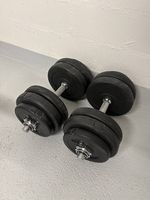 Kurz Hanteln je 12.5kg
