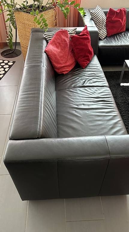 Divani: Ledersofa Doppelteilig – Usato da Winterthur venduto da Lucoelen 1