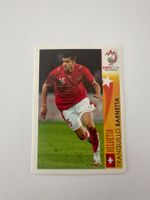 Panini UEFA EM 2008 Sticker - Nr. 491