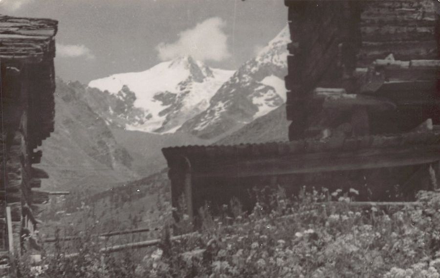 Cartoline postali: ALPIN: Berg (Wallis?) – Usato da Frauenfeld venduto da POML