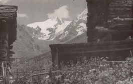 ALPIN: Berg (Wallis?)