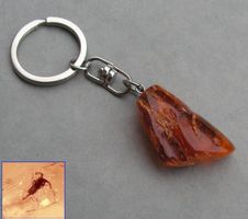 ♥ Baltischer Bernstein / SCHLÜSSELANHÄNGER / Amulett Inkluse