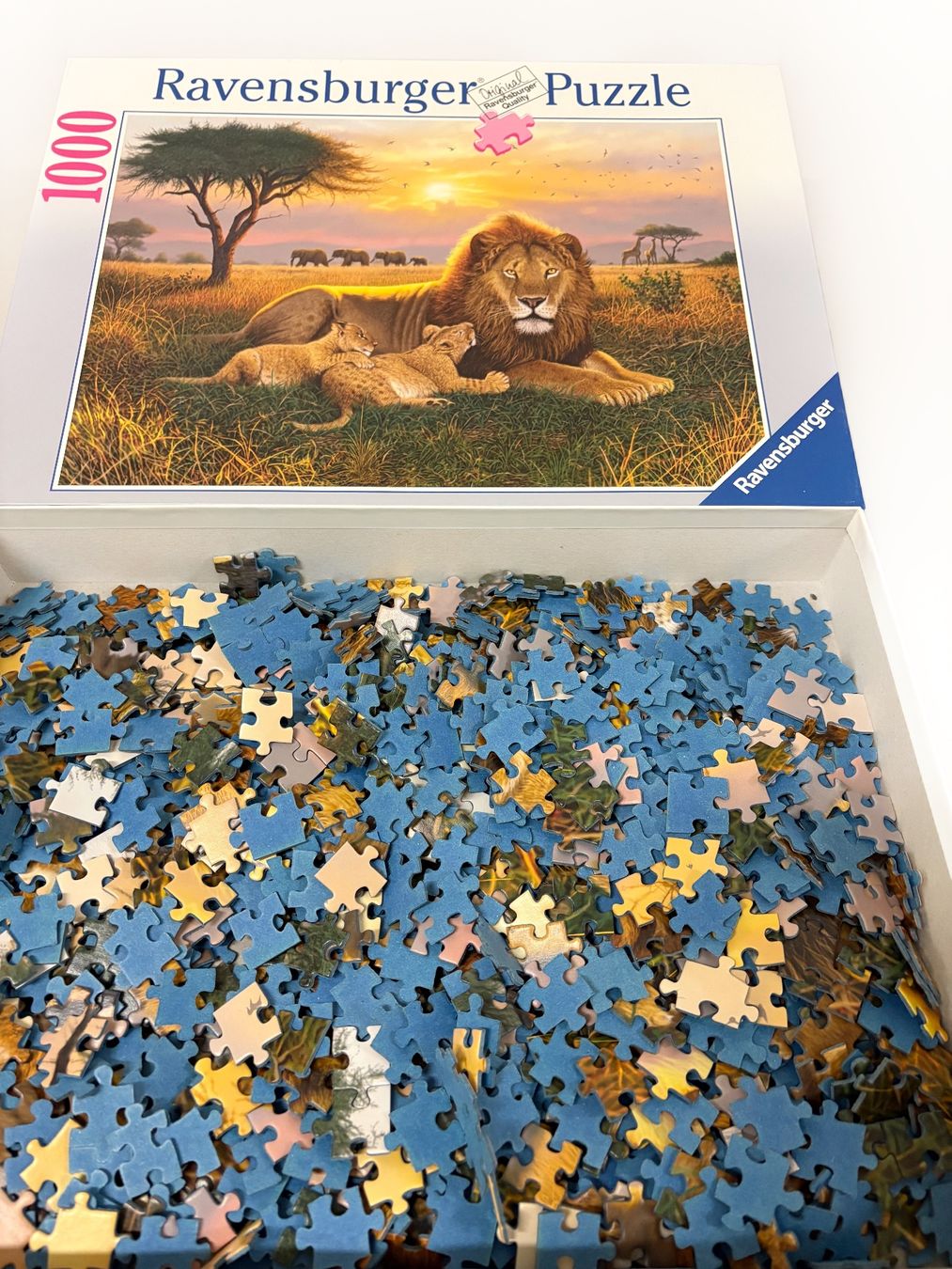 Ravensburger Puzzle: Puzzle 1000 - Löwen – Usato da Neuenkirch venduto da Gluecks.Kauf 1