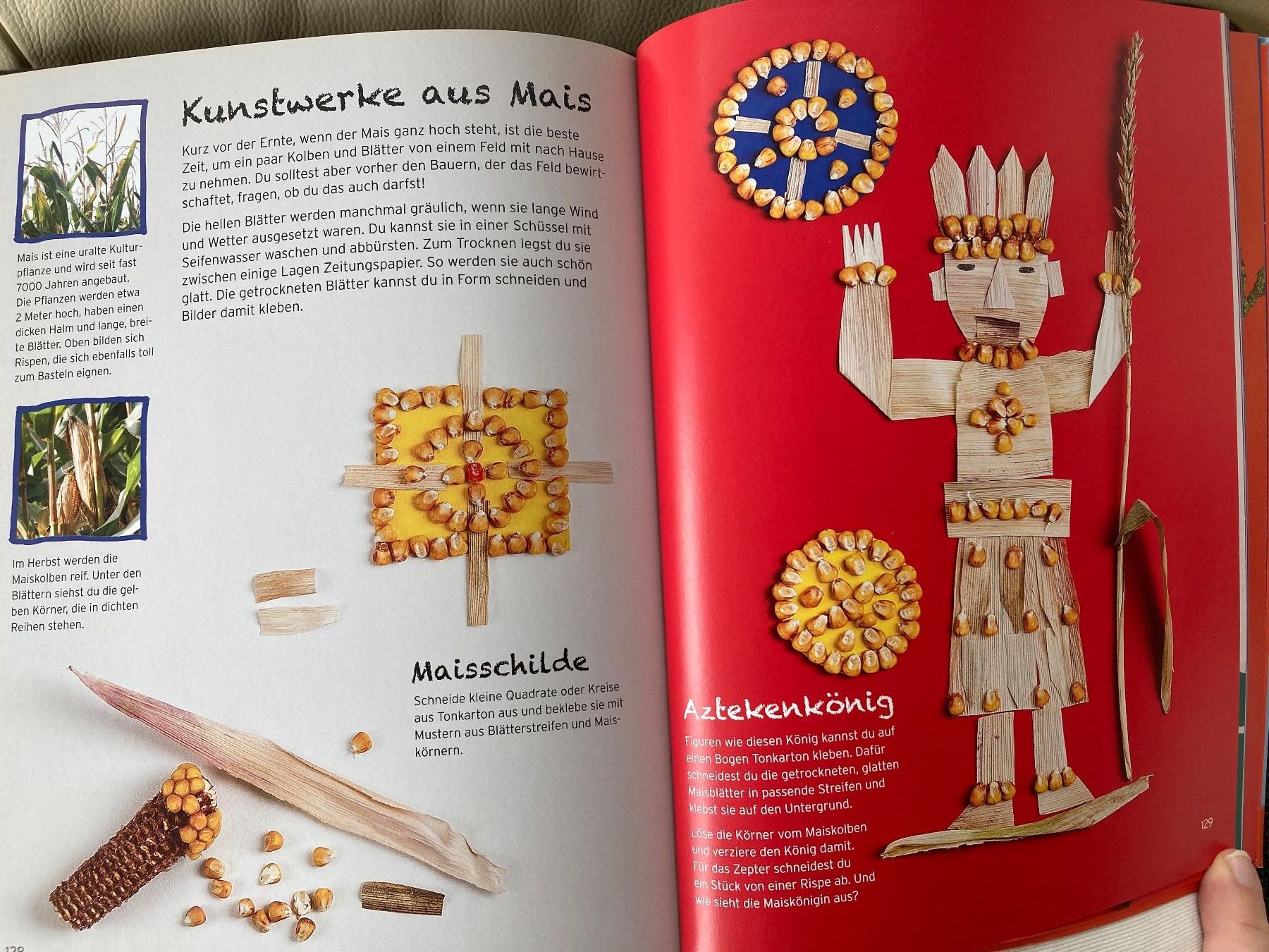 Libri: Das grosse Natur Bastelbuch – Usato da Baden venduto da Yoyo1 4