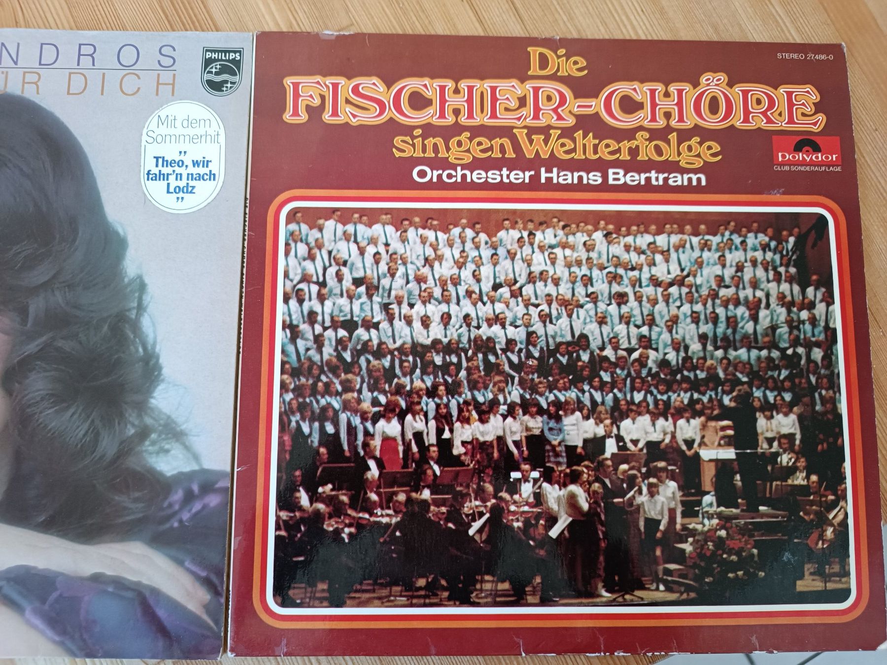 Dischi in vinile: Schallplatten Diverse  Stück – Usato da Münchwilen TG venduto da Gandalf126 8