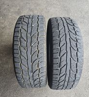 2 Stück 215/65R16 102T