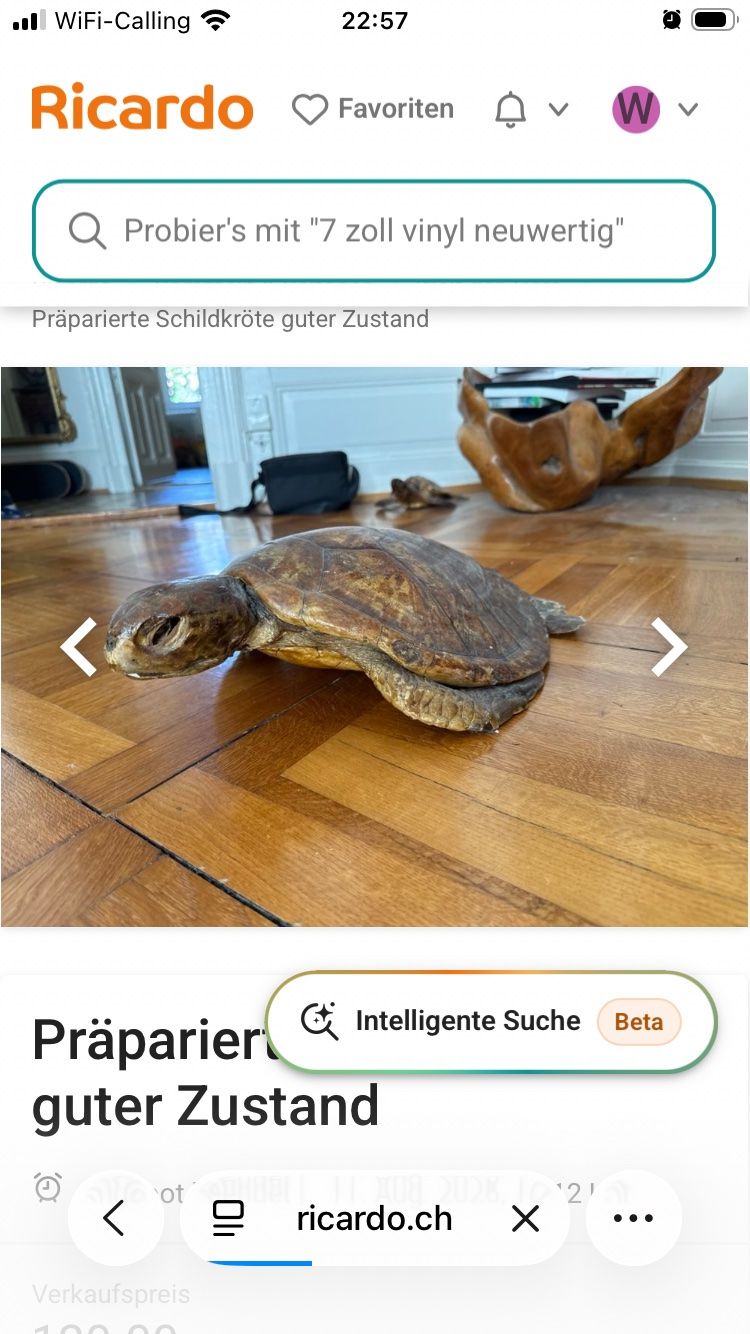 Welt der Tiere: Panzer antik , restauriert – Gebraucht aus Gossau SG von Waceera 3