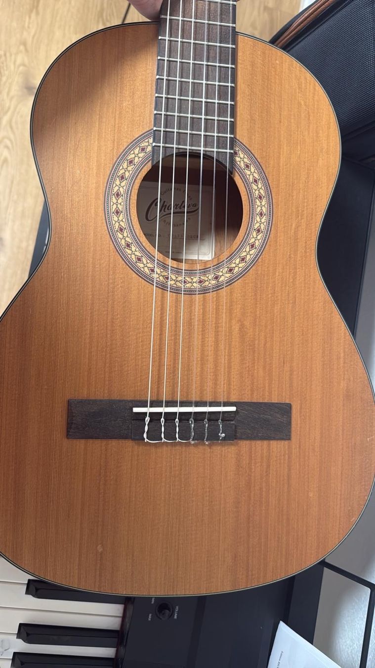 Charvel Musikinstrumente: Charleva CHARV-D3CM – Neu (gemäss Beschreibung) aus Basel von Arbarella 2