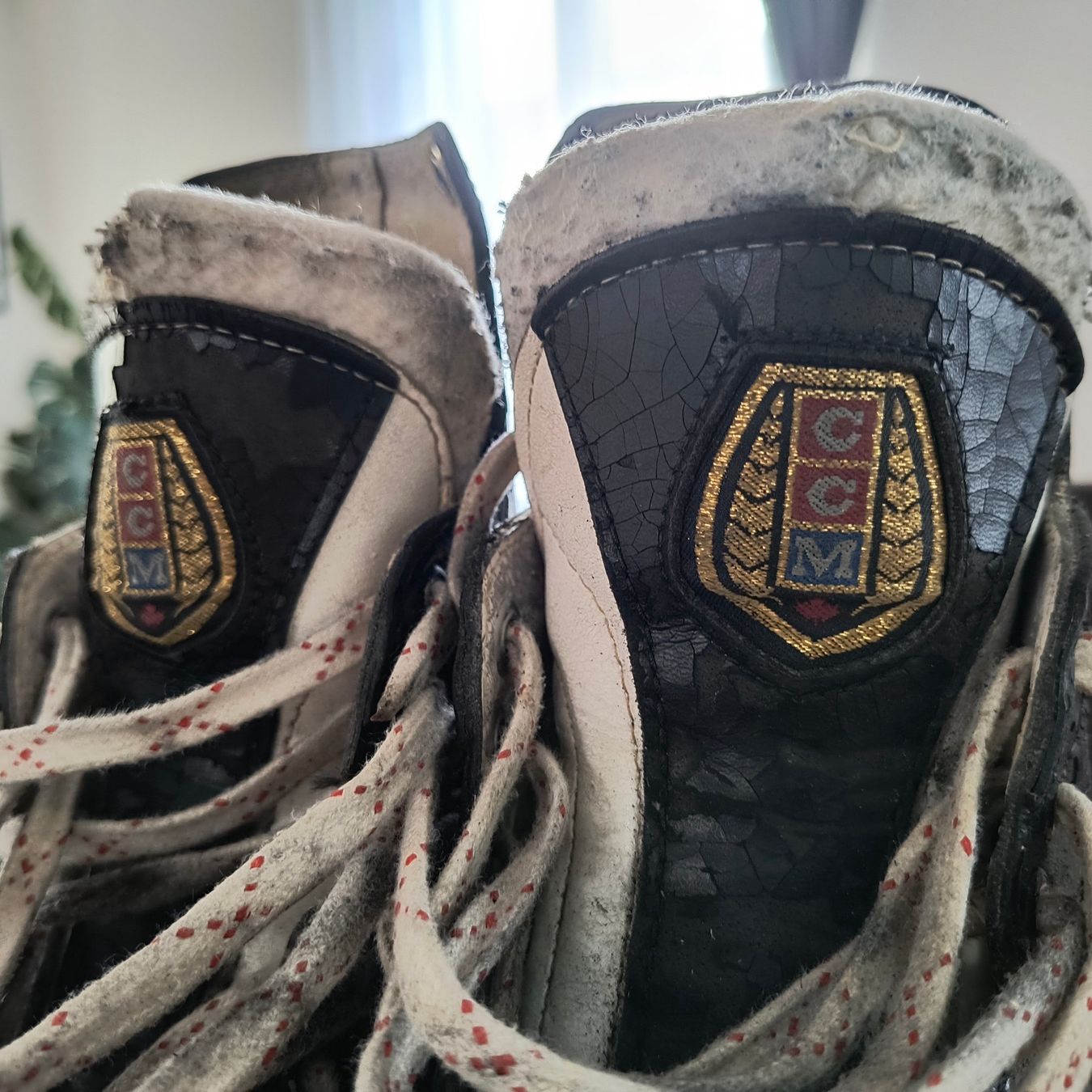 Ccm Pattini da ghiaccio: Schlittschuhe Gr.40/41 CCM – Usato da Obergösgen venduto da bea_cvf5 2