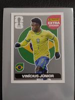 Vinicius Junior Silver