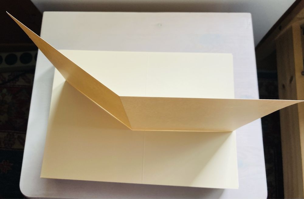 Carton De 2500 Feuilles De Papier Blanc A4 Executive - Fiducial