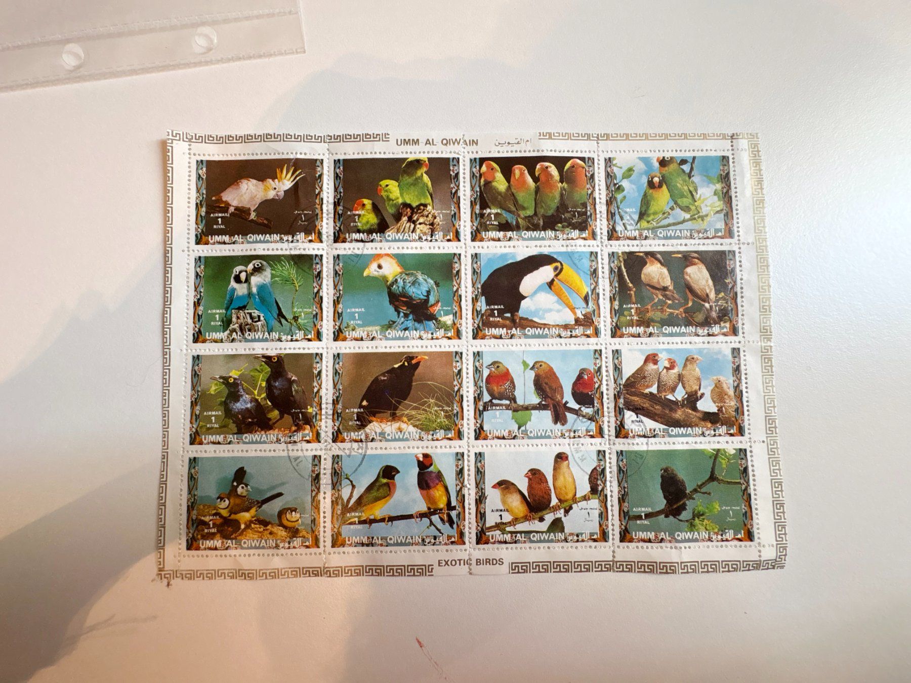 Alle Briefmarken: VOGEL BRIEFMARKE – Gebraucht aus Riva san vitale von abd_p86k