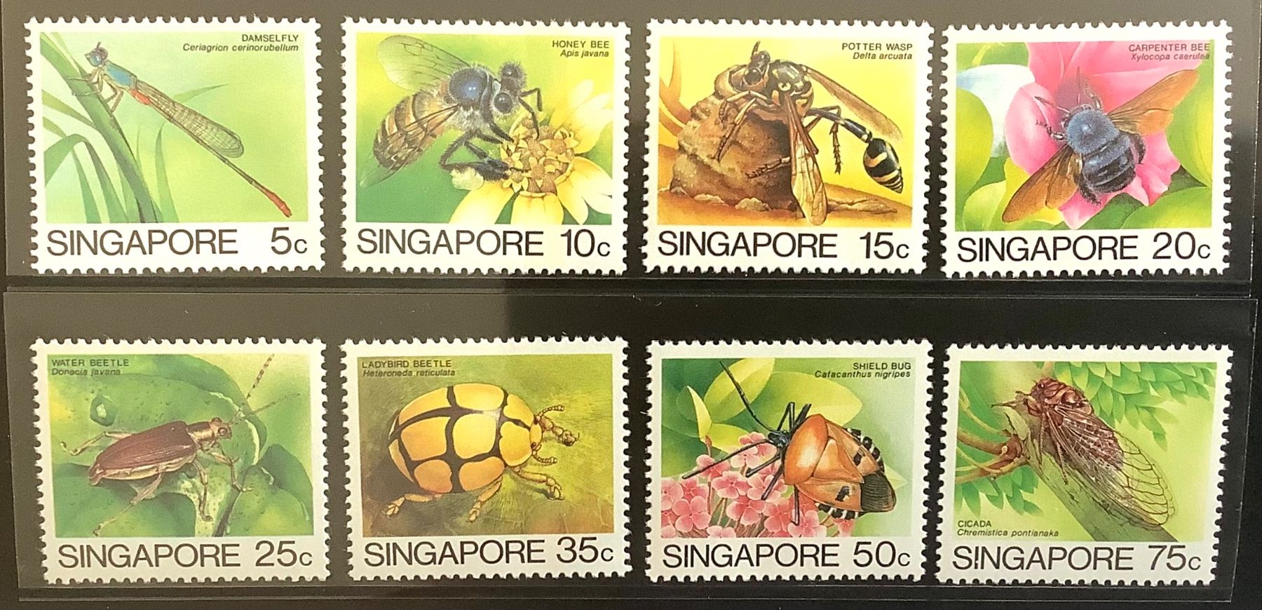 Tutti i francobolli: 1985 Singapur Insekten Satz ** – Nuovo (secondo la descrizione) da Liestal venduto da Skunk02 1