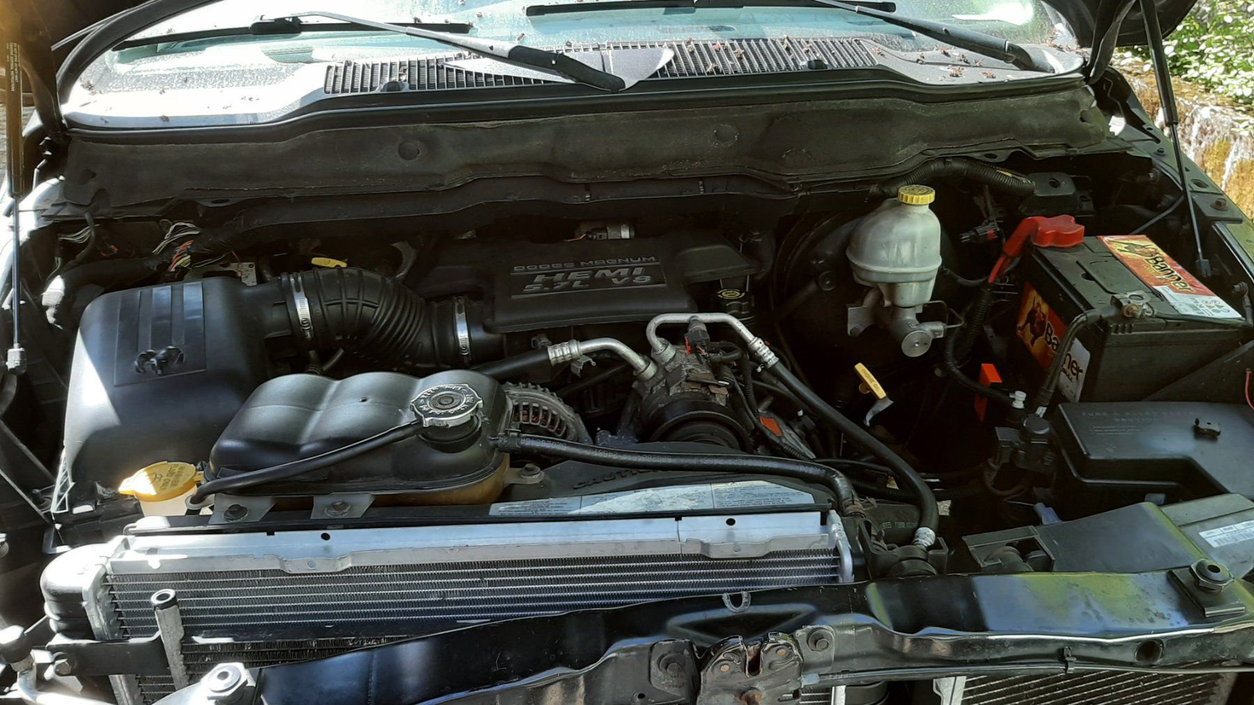 Dodge Automobili: Dodge Ram – Usato da Worben venduto da pat_6xqy 3