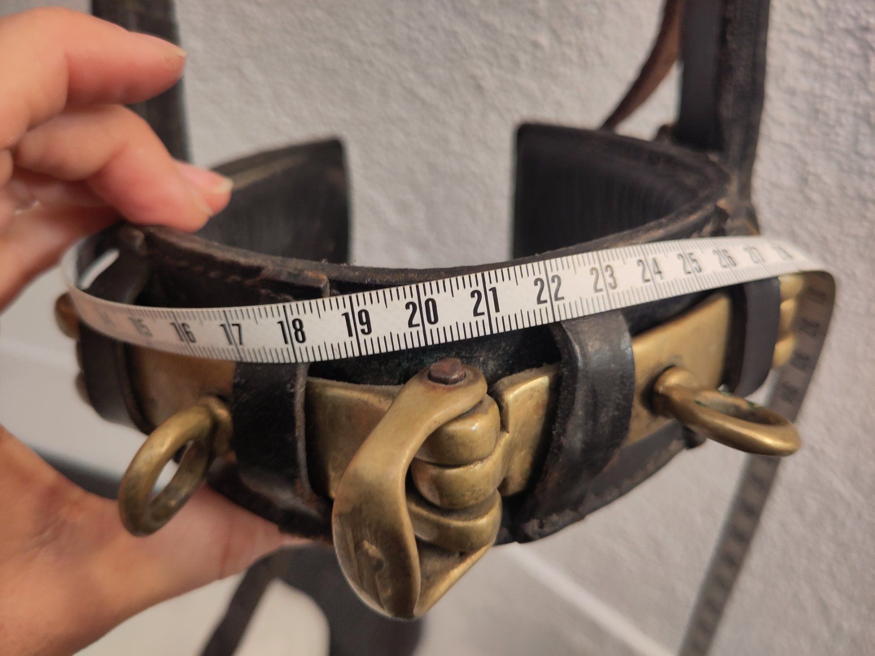 Zaumzeug & Halfter: Kappzaum Leder mit Bronzeelementen – Full – Gebraucht aus Zürich von Bischosa 3
