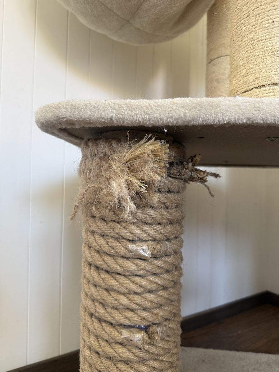 Katzenbaum - Kratzbaum: Grosser Kratzbaum beige – Gebraucht aus Plasselb von Fribi18nick 1
