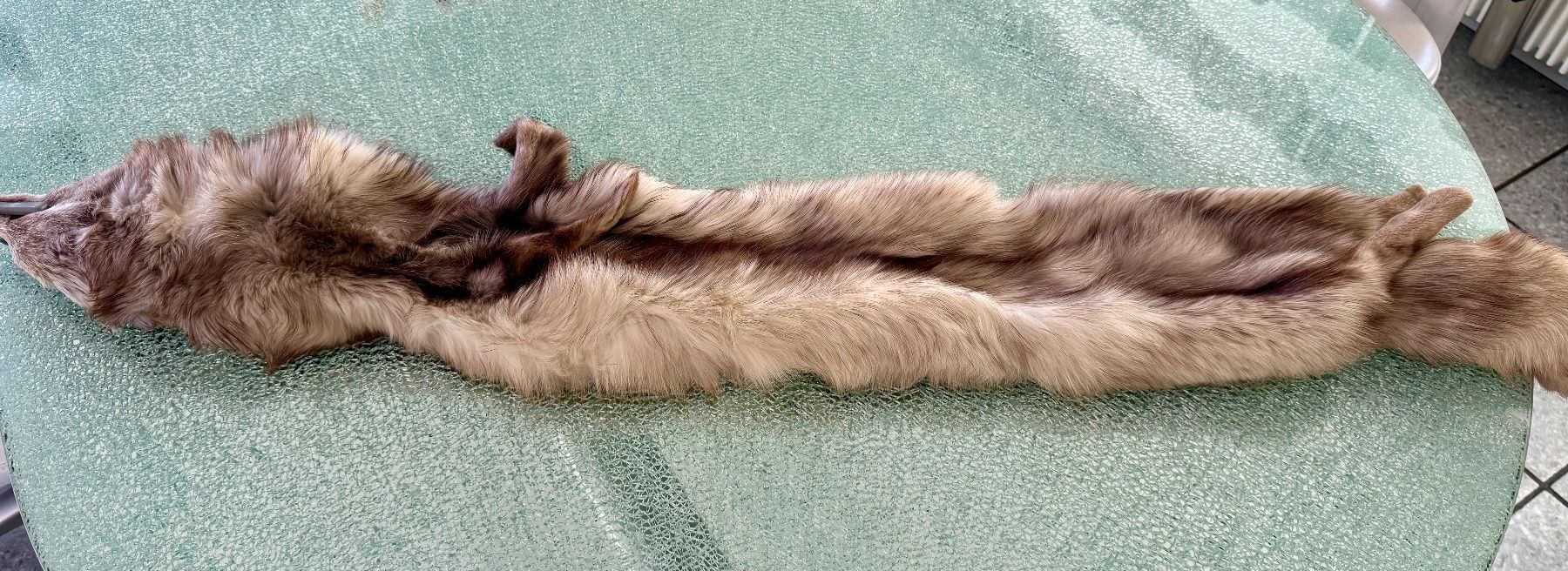 Foulard & Sciarpe: Luxuriöse Silberfuchs Stola – Usato da Muttenz venduto da wyhaegli 1