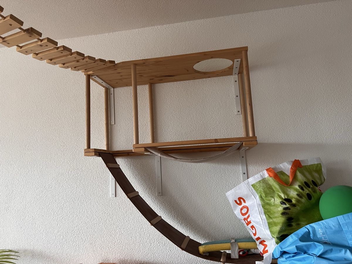 Pareti & prese d'arrampicata: Kletterwand Katzen – Usato da Uster venduto da NElsner