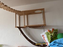 Kletterwand Katzen mit Hängematten
