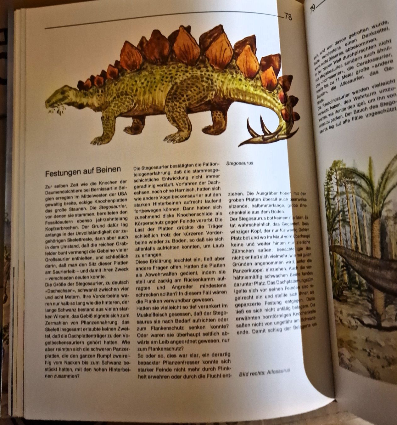 Livres: Dinosaurier und andere Tiere der Urzeit – D'occasion à Winterthur par Versus0 9