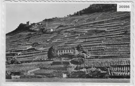 Le bon eru de "l'Arbalete