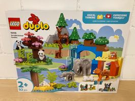 Lego Duplo 10446 Wildtier-Familien 3-in-1-Set - Neu & OVP
