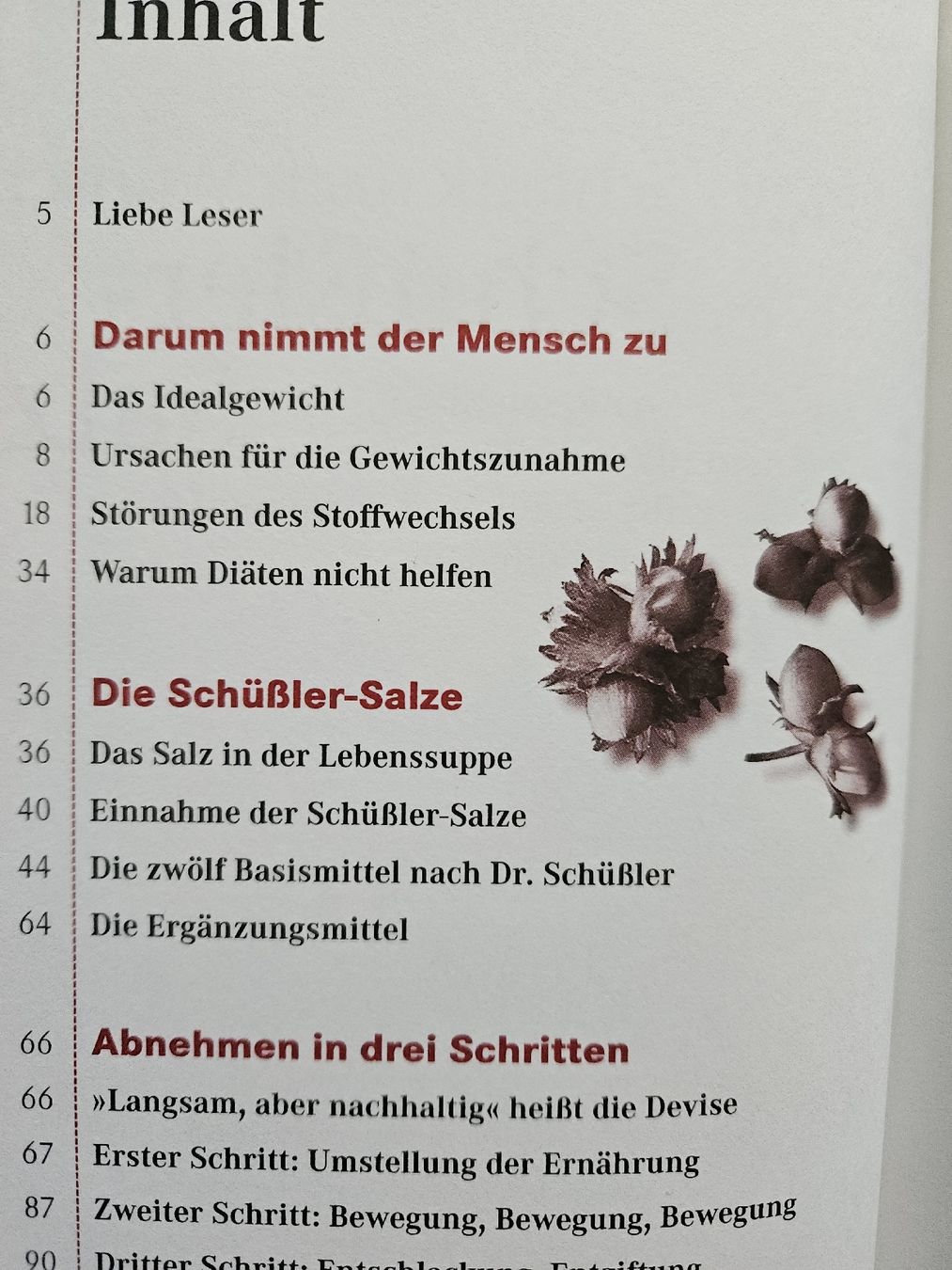 Libri: Schlank mit Schüssler Salzen - Das Original Buch – Usato da Urdorf venduto da Colina 3