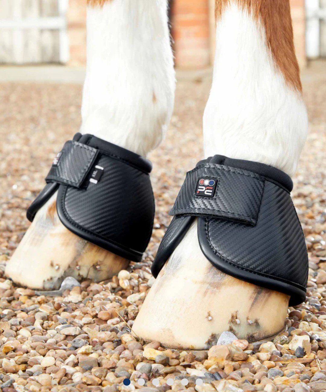 Stinchiere & Fasciature: Cloches en kevlar Premier Equine – Nuovo e nell'imballaggio originale da Prangins venduto da sid_h2n6