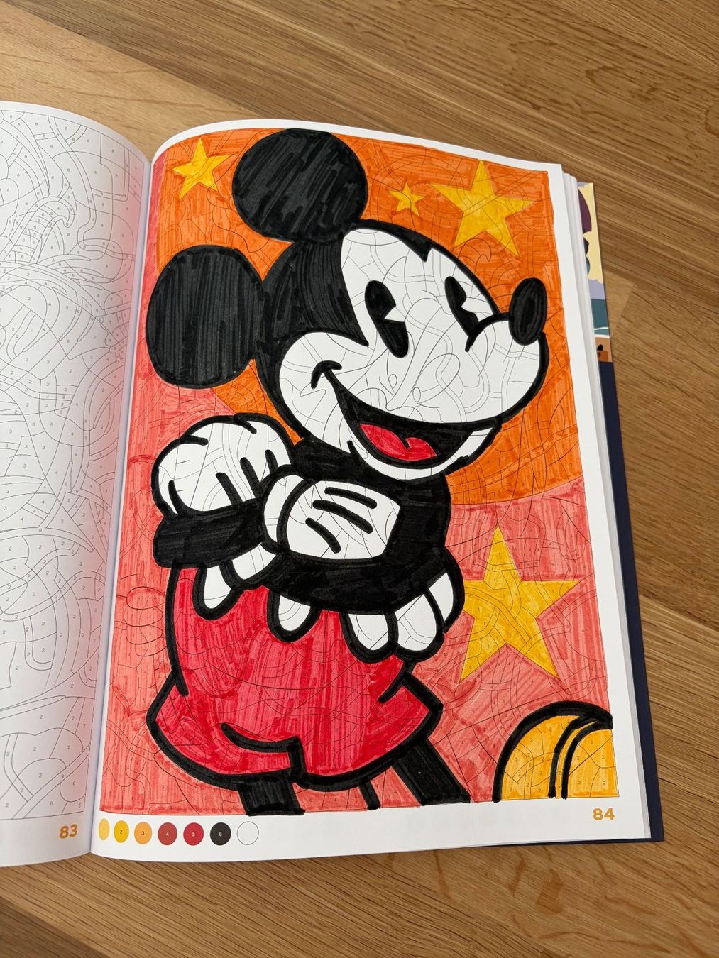 Libri: Disney Malen nach Zahlen – Usato da Spreitenbach venduto da galus_z 6