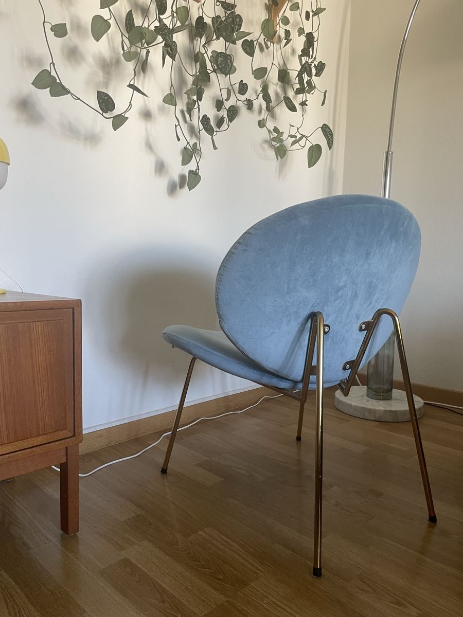 Poltrone: Velour Sessel – Usato da Zürich venduto da 0r97 2
