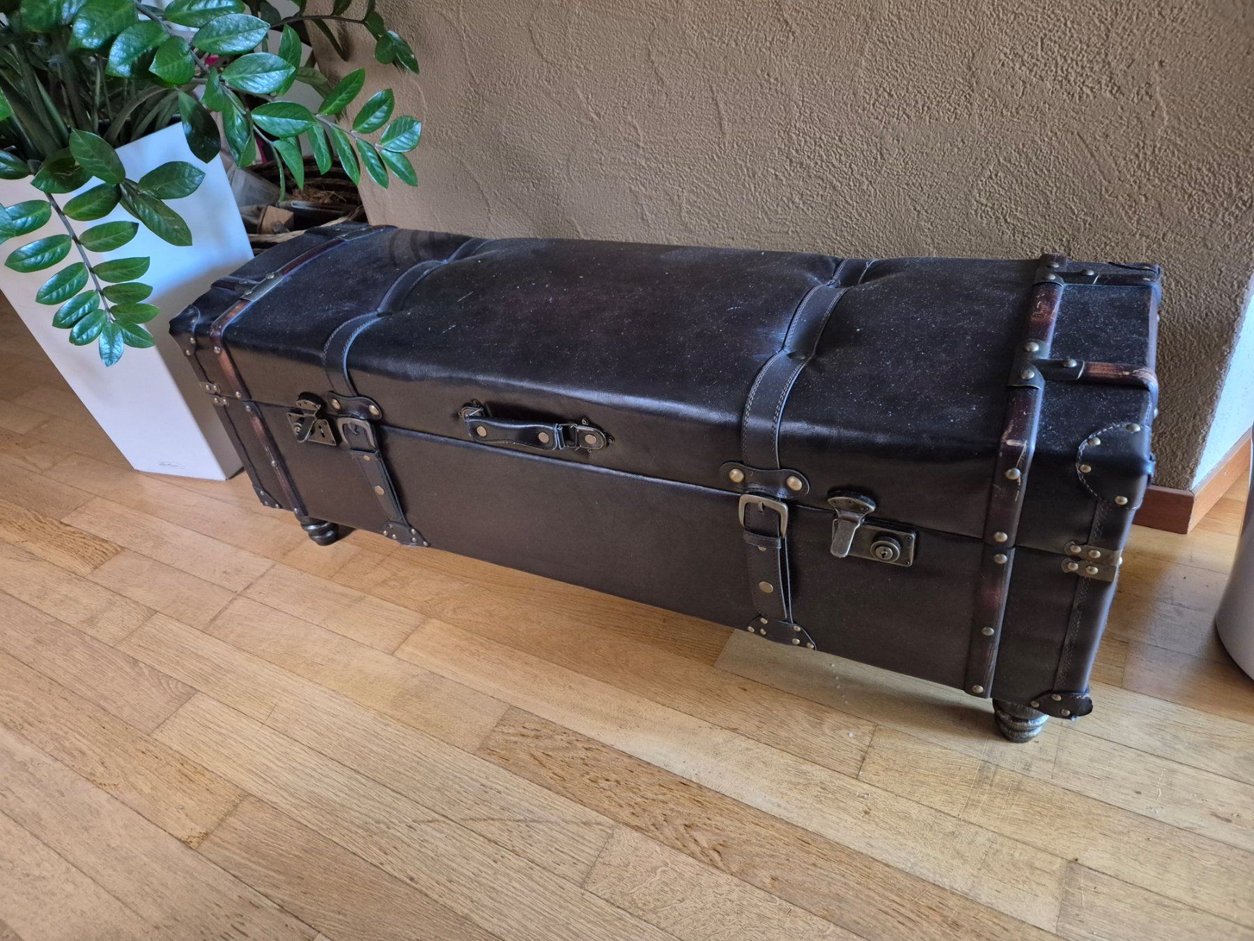 Truhen: Truhe braun Lederoptik Vintage – Gebraucht aus Horw von SvenGasser