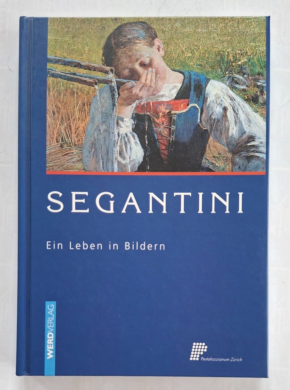 Livres: Segantini: Ein Leben in Bildern - Kunstbuch Schweiz – D'occasion à Opfikon par Diversamente