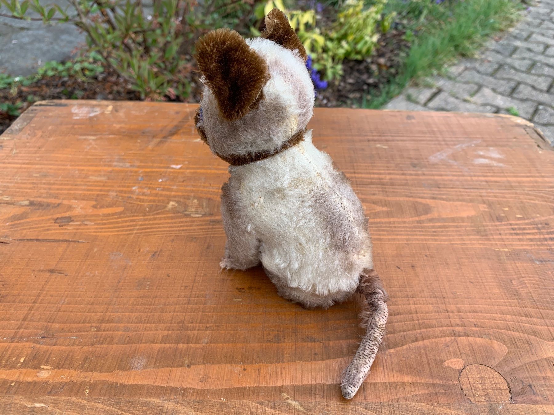 Steiff Giocattoli: seltene Steiff Siamy Siamesen Katze – Usato da Feldbach venduto da Olive1 9