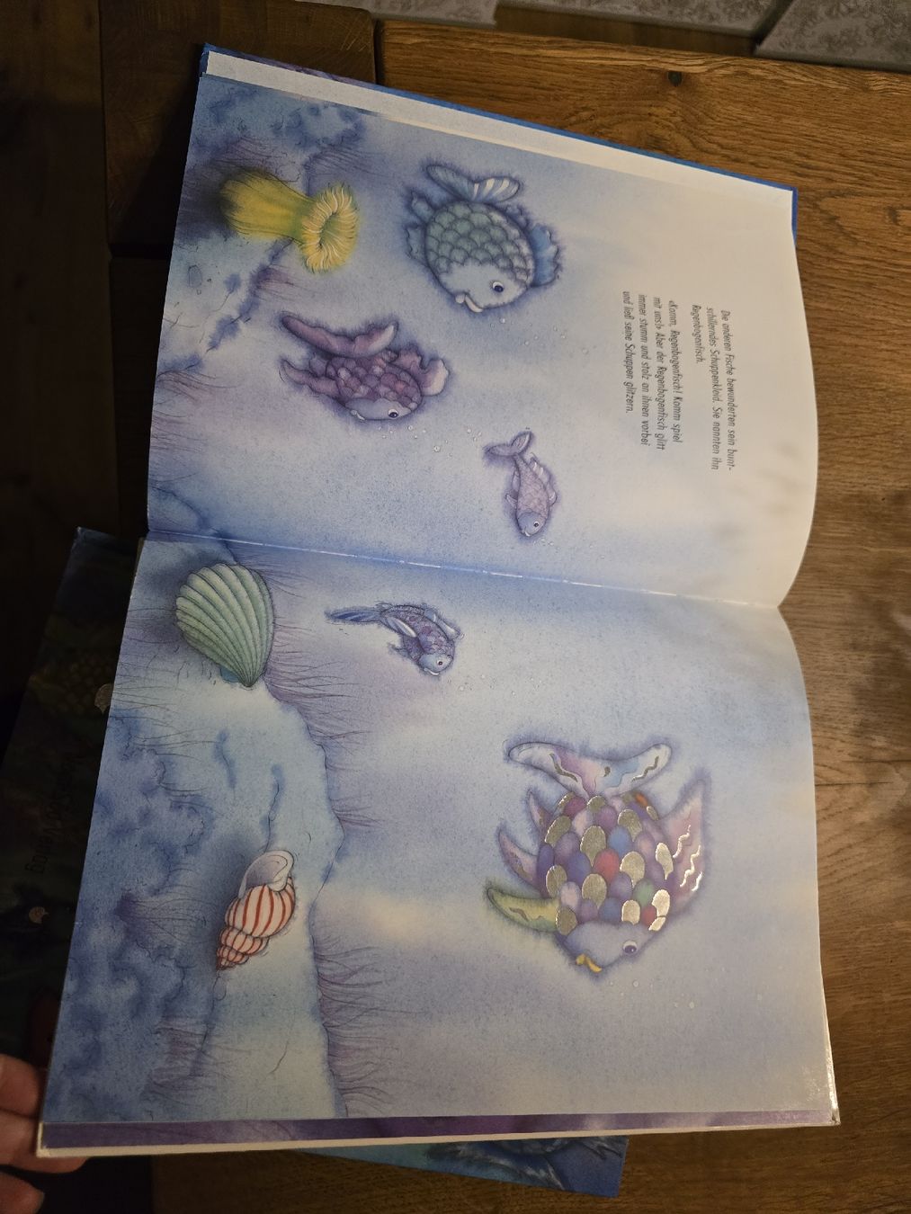 Libri: 2 Kinderbücher "Der Regenbogenfisch" set – Usato da Wittenbach venduto da Tigerlili 4