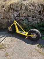 Trottinett