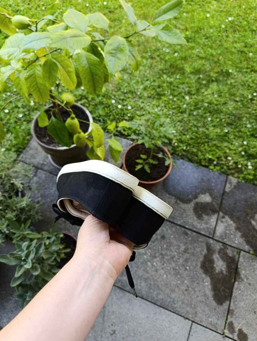 Scarpe da uomo: Groundies sneakers – Usato da Meilen venduto da SME_Aoi 9