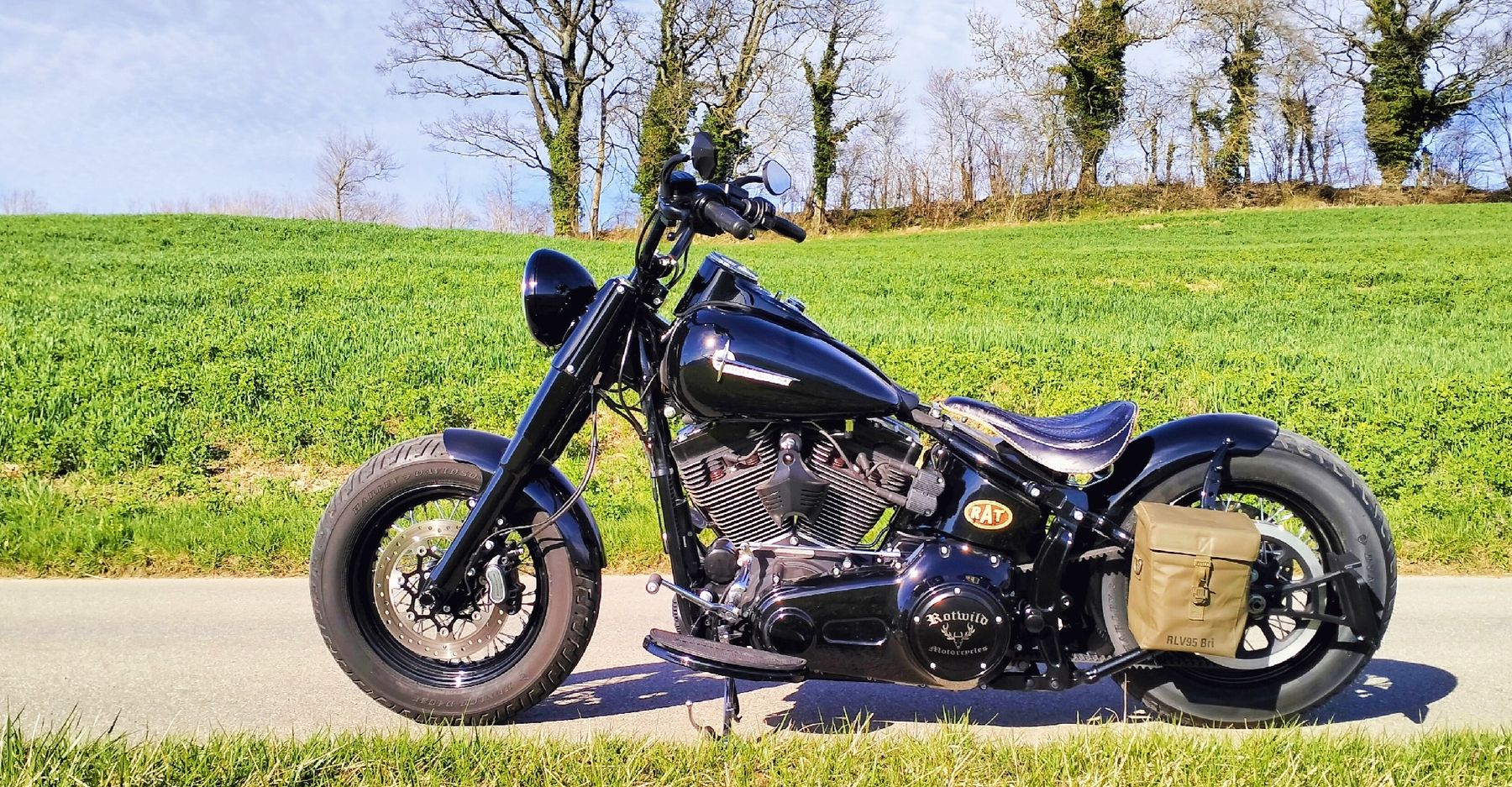 Harley Davidson Softail Slim S Auspuff