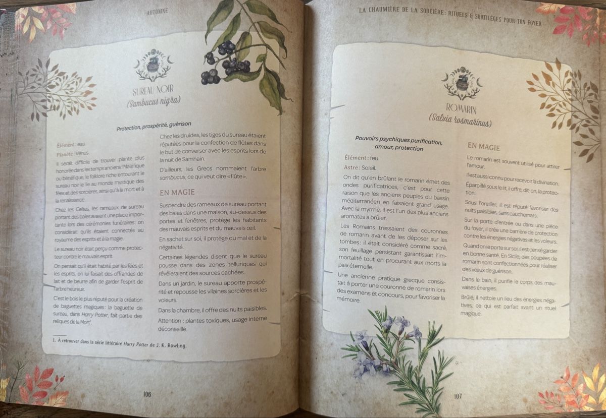 Libri: Mon grimoire de rituels & astuces de sorcière – Nuovo (secondo la descrizione) da Riddes venduto da pullrose 3