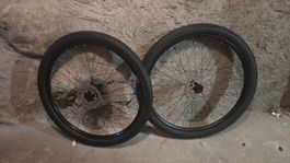 Paire de roues VTT Alexrims 29 pouces Maxxis Rekon Race